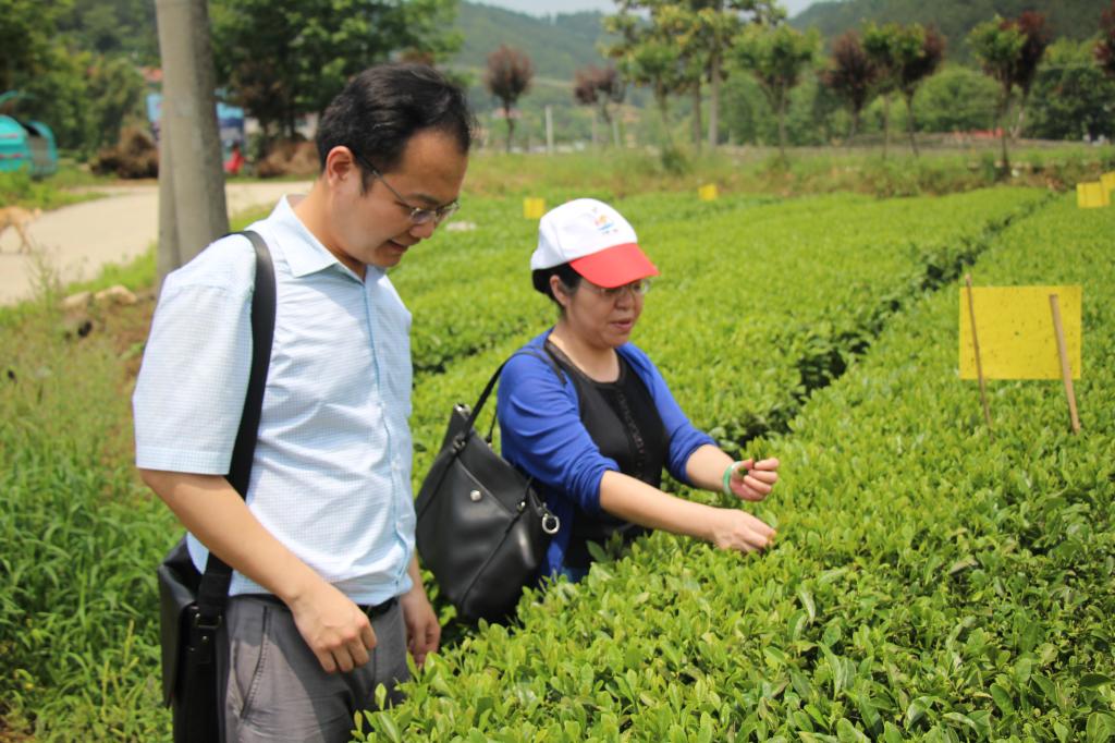 教师进农户，理论下基层——bbin连环夺宝官网全体党员教师赴英山县乌云山村学习调研